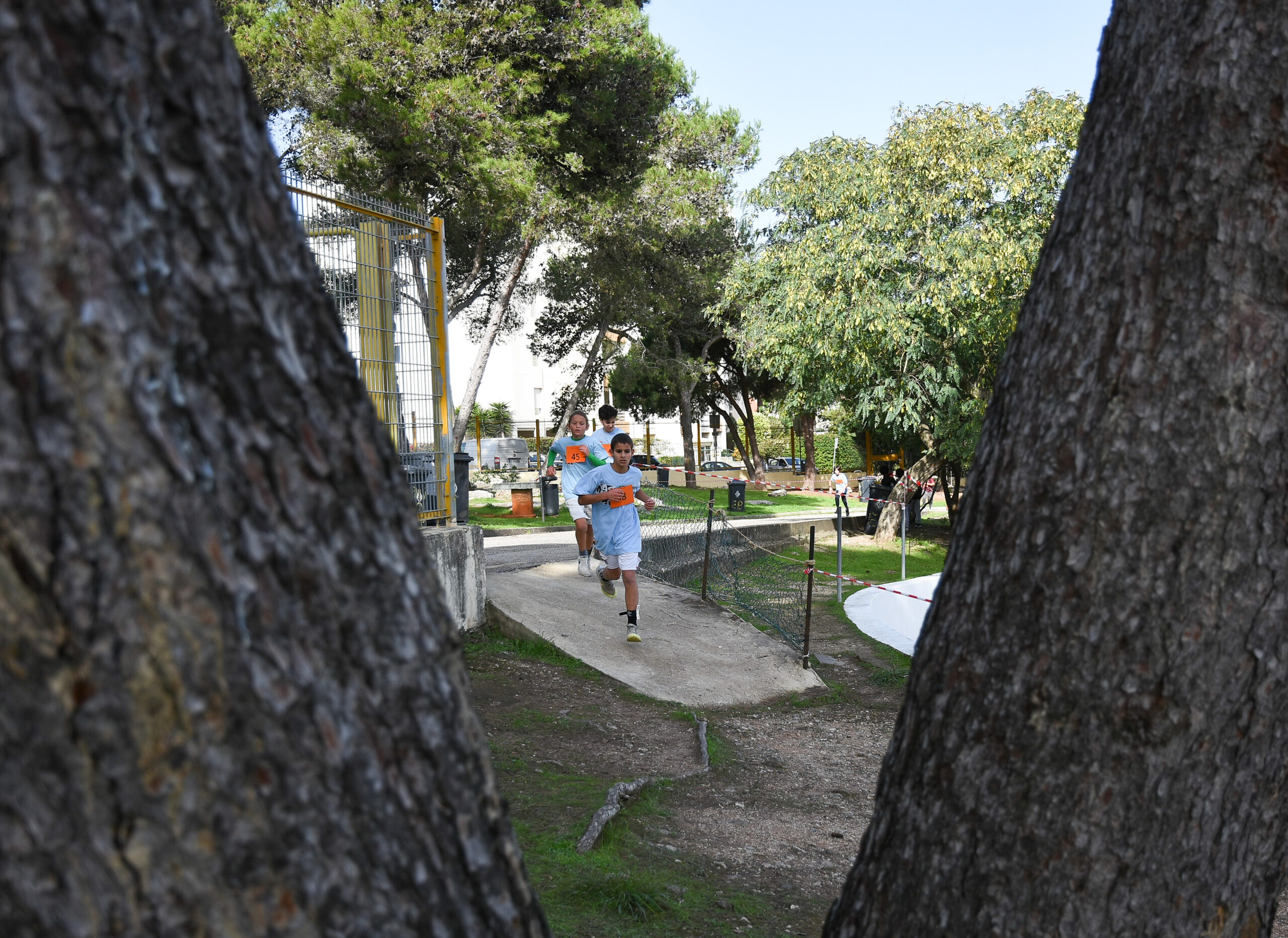 Corta-mato interno 2024/2025